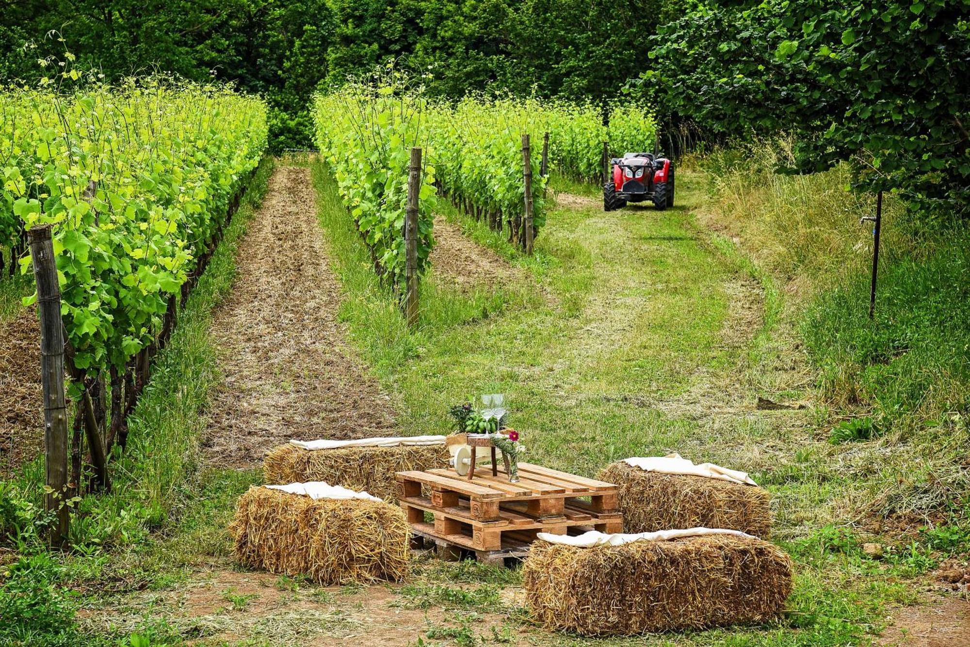 Agriturismo Guerritore Baronissi Dış mekan fotoğraf
